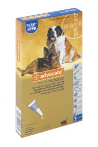 advocate_11