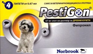 pestigondo102