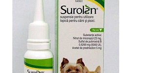 zz