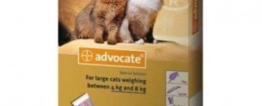2949-advocate-for-cats-spot-on-80-for-large-cats-over-4-kg