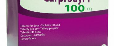 39344-carprodyl-100mg