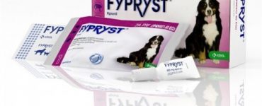 fypryst_over_40-500x500