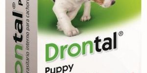 drontal_puppy__nueva
