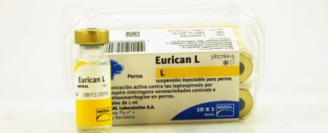 euricanl_s