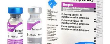 eurican_herpes