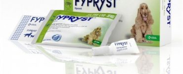 fypryst-10-20-500x500