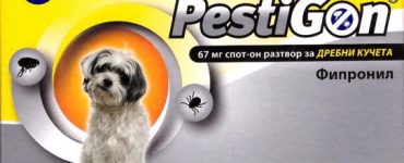 pestigondo102