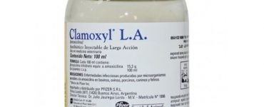 productimage-picture-clamoxyl-la-injection-100ml-4732