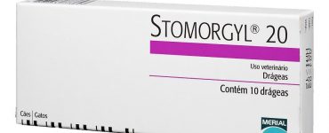 stormorgyl20