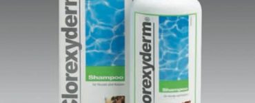 animedica-clorexyderm-shampoo