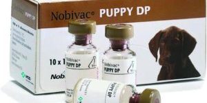 Nobivac Puppy DP_tcm91-133704
