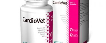 cardiovet2