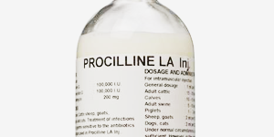 prociline_la