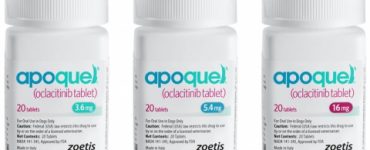 apoquel-fe5b