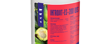 introvit-es-200_ws