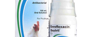 24_Baytril-Oral-Solution