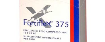 902283264_1