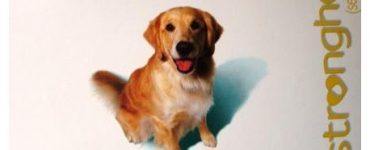 new-stronghold-dogs-20-40-kg-3-pipets