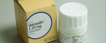 vetmedin-125mg-flavour-tablets-each