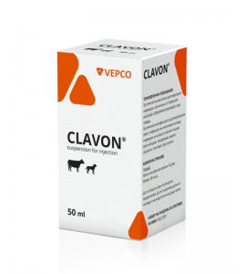 CLAVON-800x800