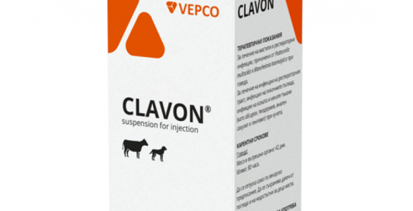 CLAVON-800x800