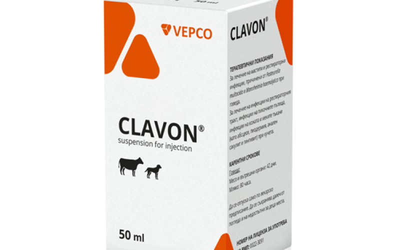 CLAVON-800x800