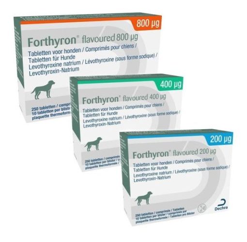 Forthyron-Flavoured-510x510